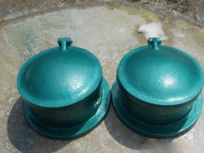 玻璃鋼拍門(mén)